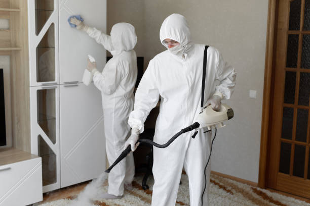  Seal Beach, CA Mold Removal Pros