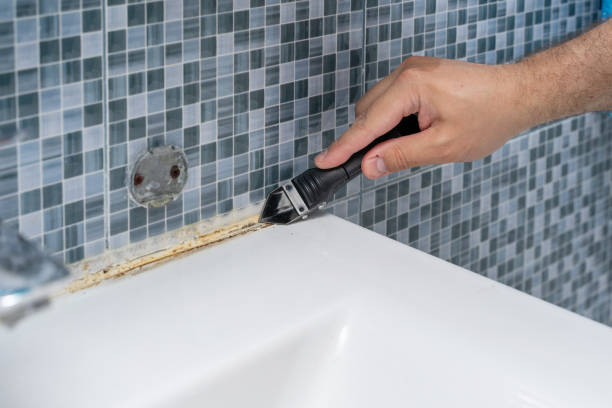 Best Mold Remediation Experts  in Seal Beach, CA