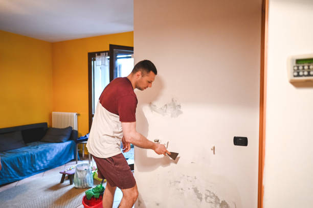 Best Certified Mold Removal  in Seal Beach, CA